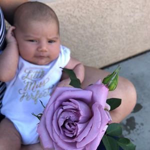 Meet your Posher, Amber lowe